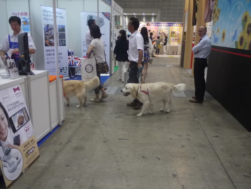 場内は犬同伴の来場者も多い。