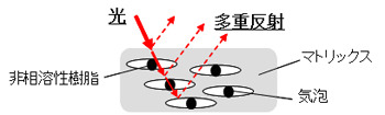 気相と固相の界面での多重反射模式図