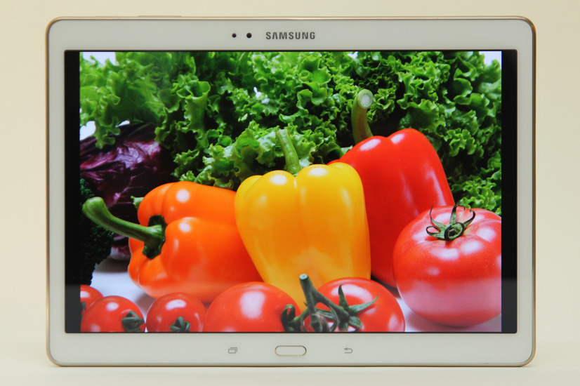 GALAXY Tab Sで高解像度の写真を表示したところ。赤や緑が色濃く表示されている。