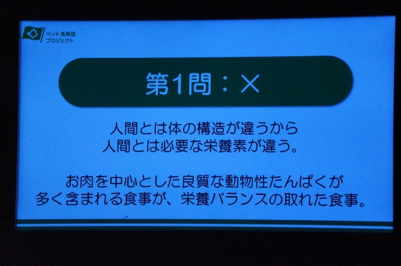 犬や猫は本来肉食動物であることを理解しなければならない