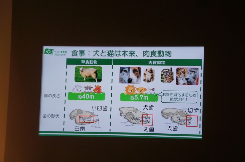 ペット長寿国プロジェクト発足記者発表会