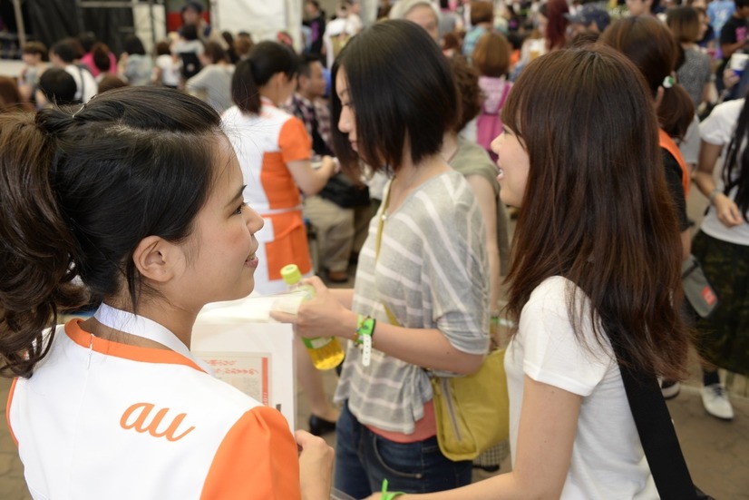 「コヤブソニック2014ファイナル」（9月13日）