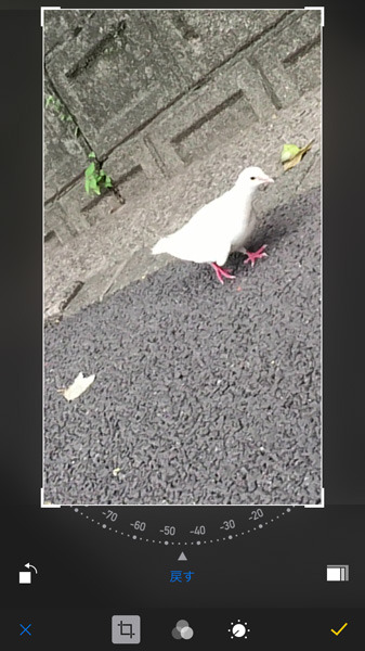 撮影した画像はトリミングモードで回転補正も行えるようになった