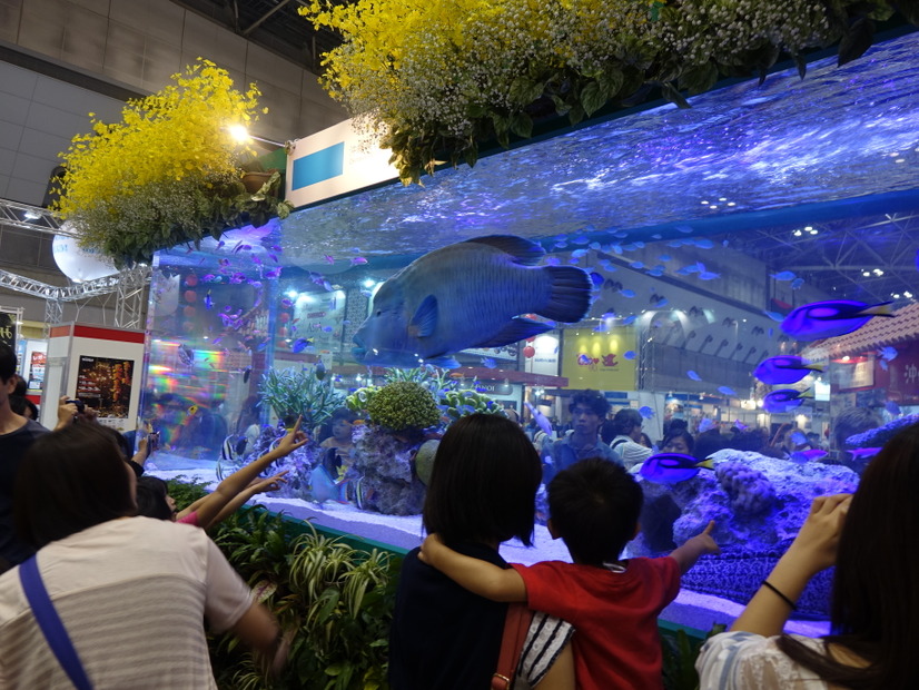 【ツーリズムEXPOジャパン】にぎわう沖縄ブース！泡盛の女王や「美ら海水族館」