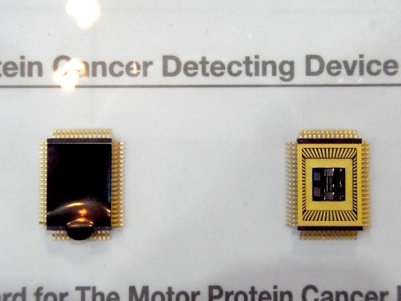 A MOTOR Protein Cancer Detector