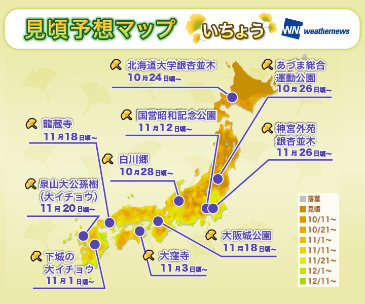 全国見頃マップ：いちょう