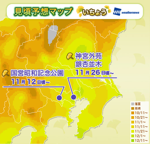 関東地方見頃マップ：いちょう