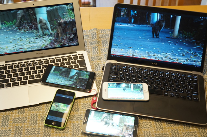 実際にこのくらいの端末数でオンライン動画をみても、遅延を感じたりすることなく余裕で再生できた。