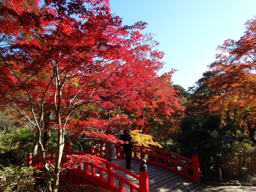 修善寺虹の郷