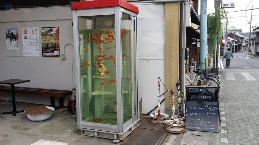 商店街に突然現れる