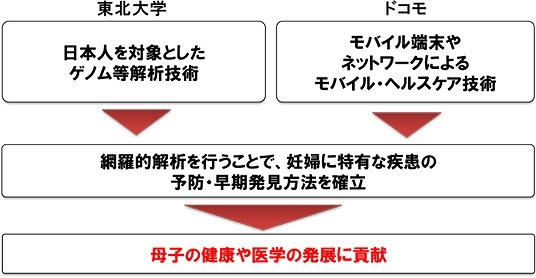 研究手法の流れ