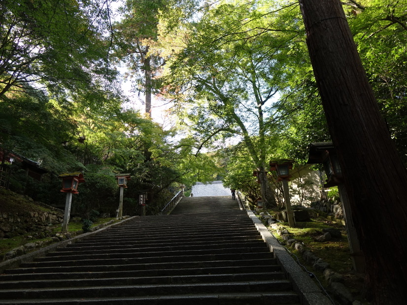 風情ある階段