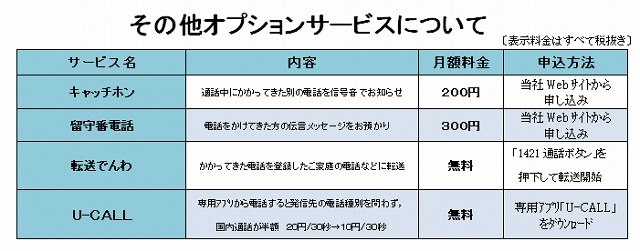 その他オプションサービス