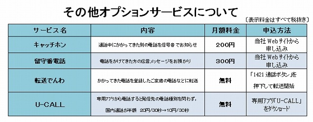 その他オプションサービス