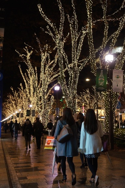 東京・表参道でイルミネーション点灯開始