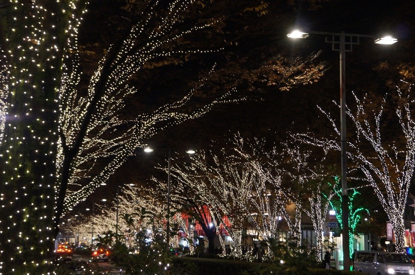 東京・表参道でイルミネーション点灯開始