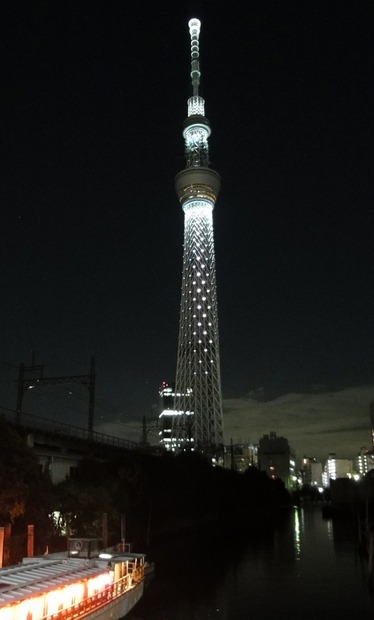 ライトアップのイメージ《撮影：冨岡晶》