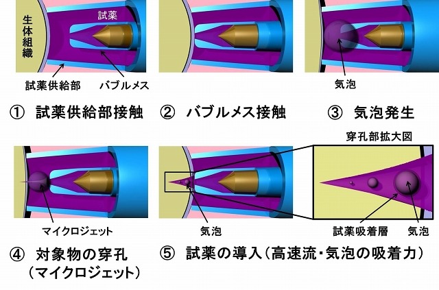 細胞の加工・試薬の導入プロセス