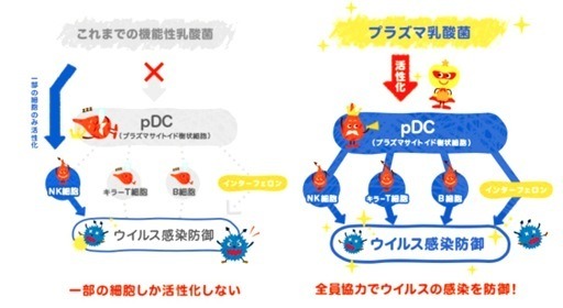 これまでの機能性乳酸菌とプラズマ乳酸菌の違い