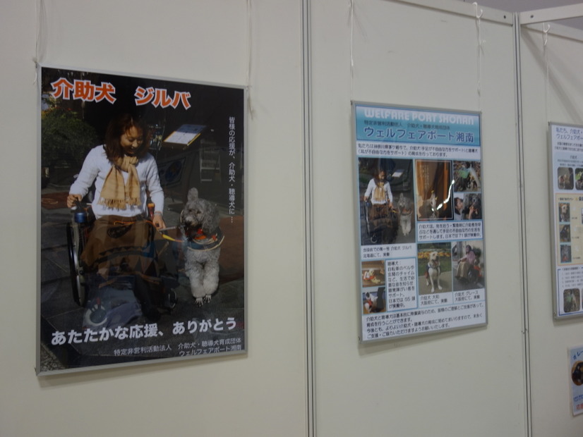Pet博2015 in 横浜