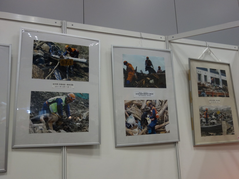 Pet博2015 in 横浜