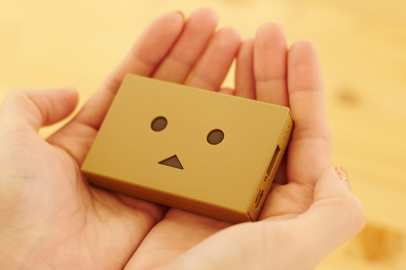 「DANBOARD Block」