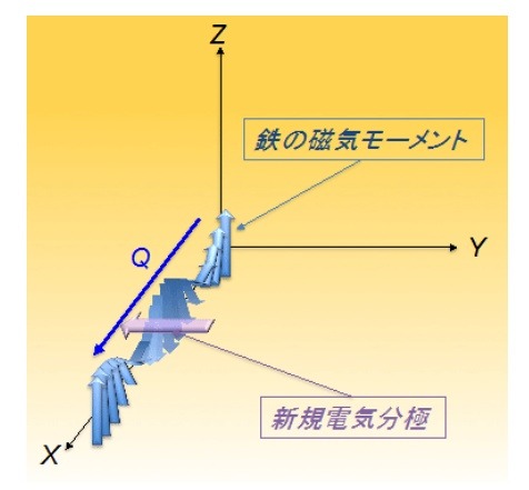 模式的に示した磁気モーメントと新規電気分極成分の関係