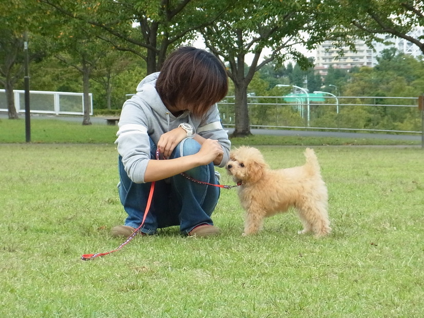 【快適ペットライフ Vol.12】最初のトレーニング…犬の試練ではなく人の試練