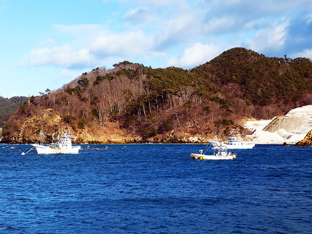 石巻　（Photo：大野雅人）