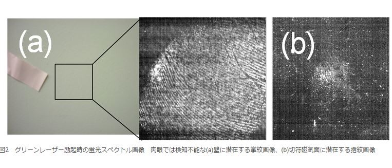 指掌紋に含まれる脂肪やアミノ酸を分析して非接触＋非破壊で指掌紋を検出・分析することが可能（画像は早稲田大学のwebより）。