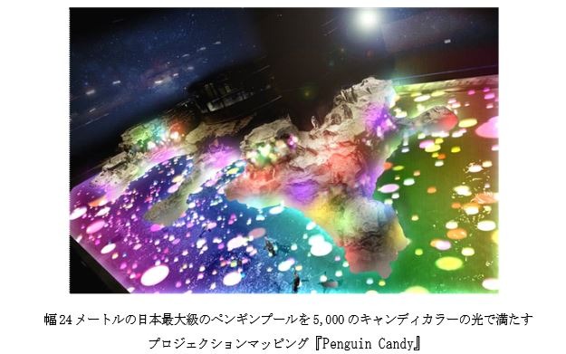 『Penguin Candy(ペンギンキャンディ）』イメージ画像