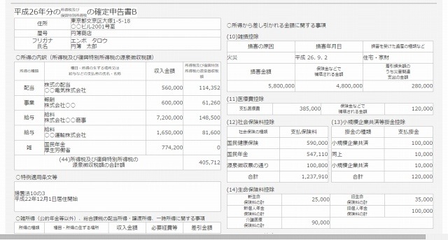 確定申告書の出力イメージ