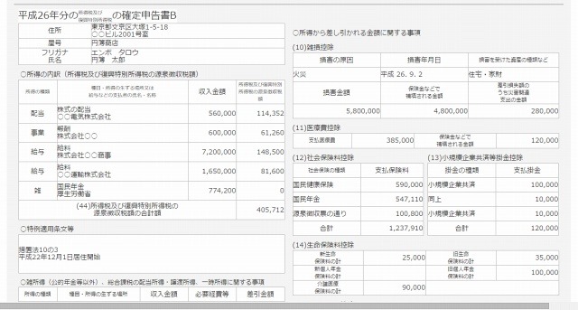 確定申告書の出力イメージ