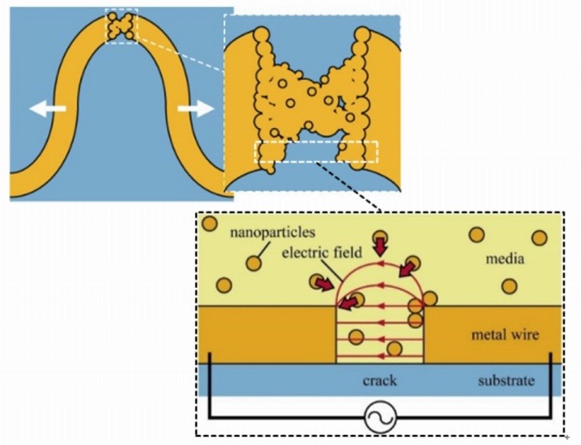 金属ナノ粒子の電界トラップによる金属配線修復の原理