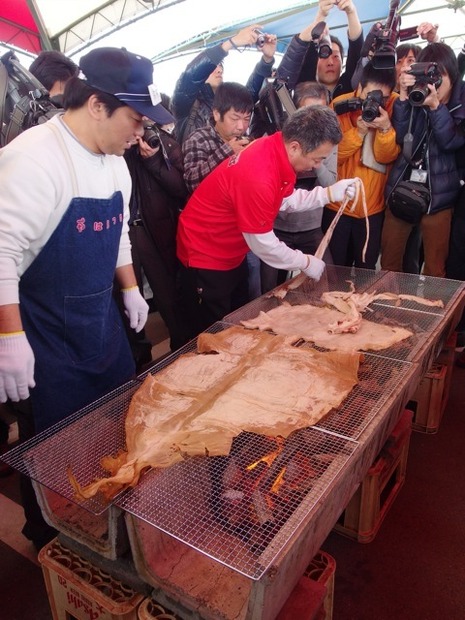 ダイオウイカ試食会