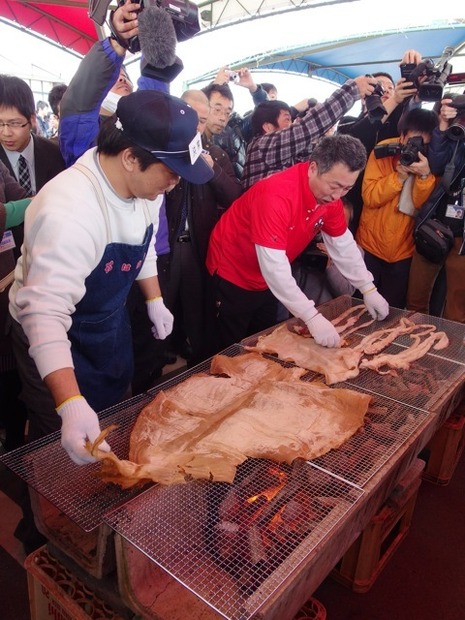 ダイオウイカ試食会
