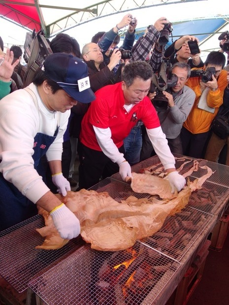ダイオウイカ試食会