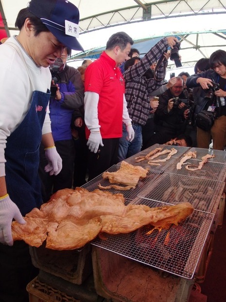 ダイオウイカ試食会