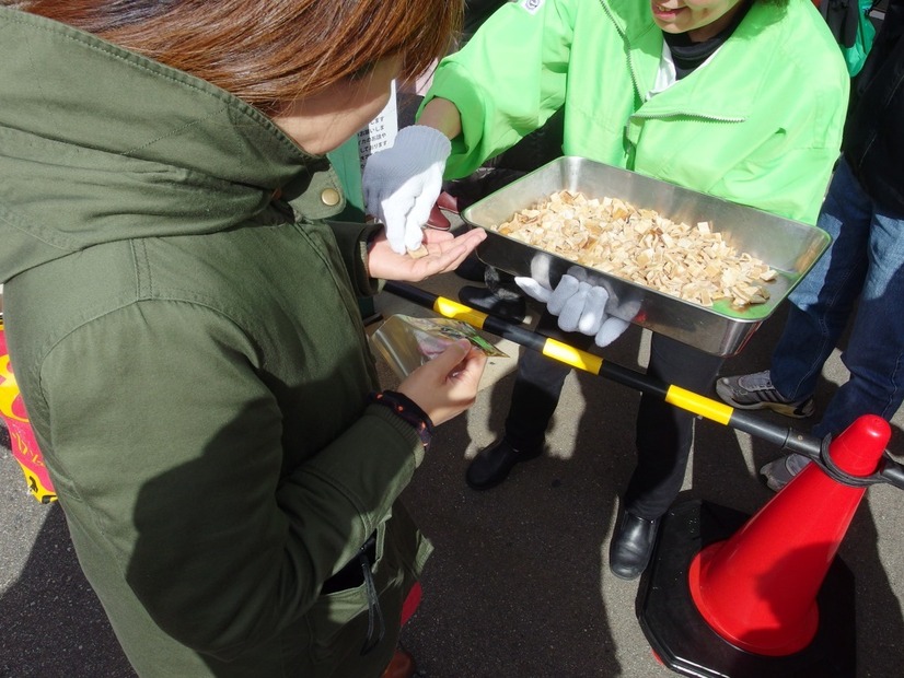 ダイオウイカ試食会