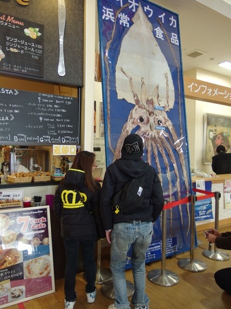 ダイオエイカのスルメ