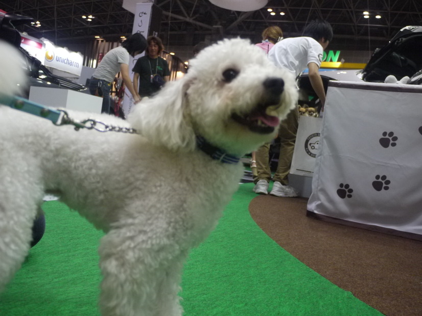 Interpets 2014会場風景