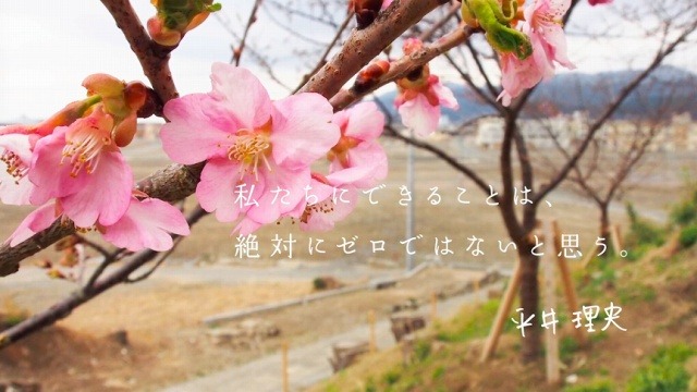 平井理央さんからのメッセージ
