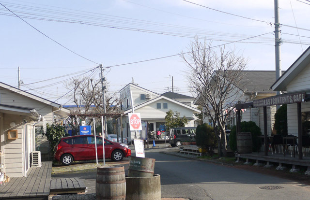 アメリカンな低層住宅が建ち並び、一般住宅のほかレストランや雑貨店など約50店舗が営業している。