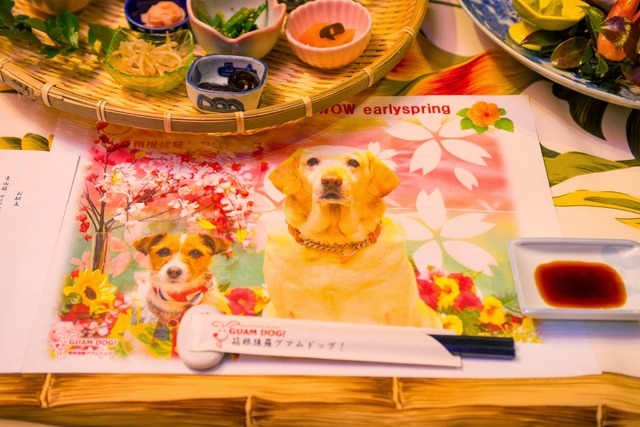 嬉しいサプライズ！フォトスタジオで撮影してくれた写真がさっそくランチョンマットに