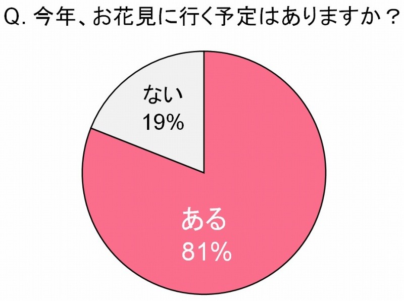 今年、花見に行く予定がありますか？