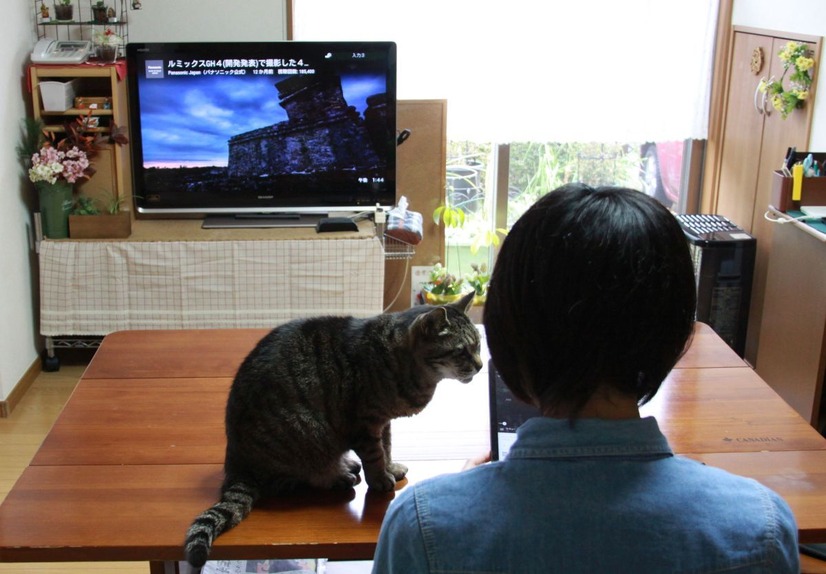 4K動画もきれいに再生