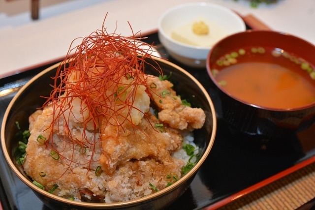 東北自動車道・阿武隈PA（上り）「白河高原清流豚の豚唐みぞれ丼（870円）」