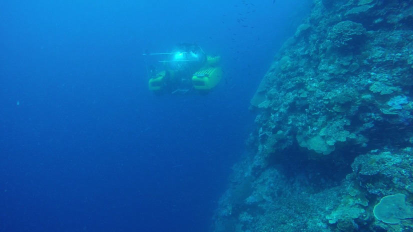 『ザ・プレミアム「深海のロストワールド　追跡！謎の古代魚」』：番組内シーン