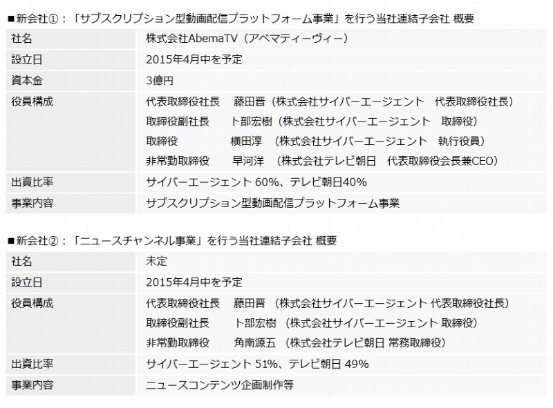 新会社の概要