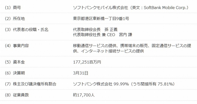新会社の概要